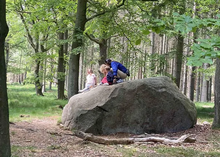 アパート Lovely At Solgaarden 4 *